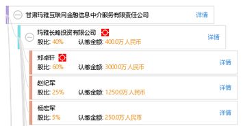 甘肅瑪雅互聯網金融信息中介服務 數字化時代下的信息橋梁